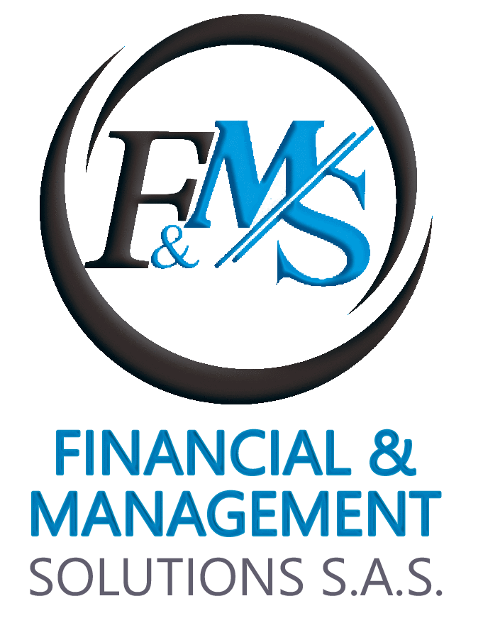 FINANCIAL & MANAGEMENT SOLUTIONS S.A.S.